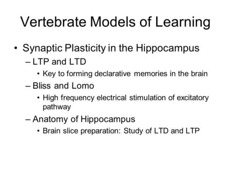 Vertebrate Models of Learning