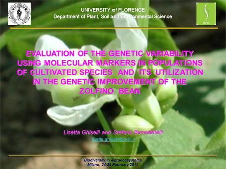 Biodiversity in Agroecosystems Milano, 24-25 February 2011 UNIVERSITY of FLORENCE Department of Plant, Soil and Environmental Science EVALUATION OF THE.