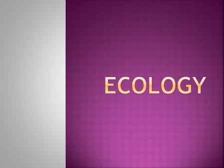 Ecology.