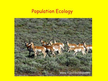 Population Ecology.