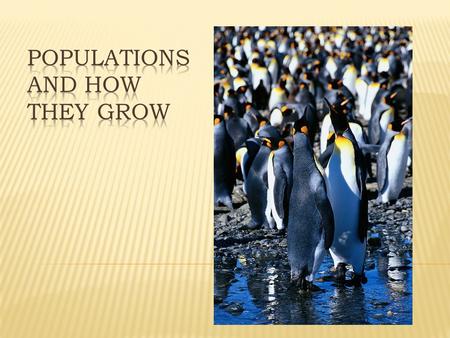 POPULATIONS AND HOW THEY GROW