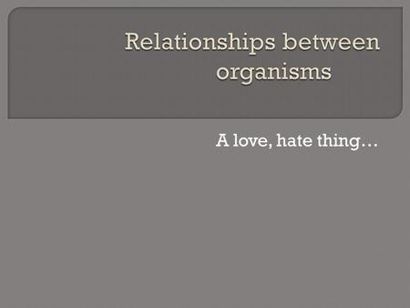 A love, hate thing….  Every organism in an ecosystem has a role or job to carry out… That job and how it uses the conditions around it is called a niche.