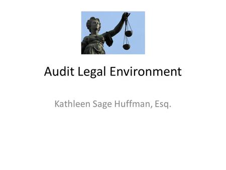 Audit Legal Environment