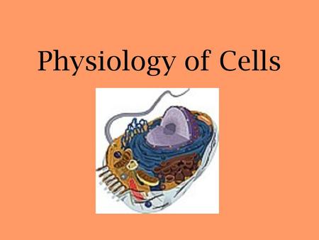 Physiology of Cells. Passive Transport 1.Diffusion –Tendency of small particles to spread out evenly within a given space –Occurs down a concentration.