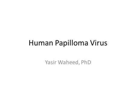 Human Papilloma Virus Yasir Waheed, PhD.