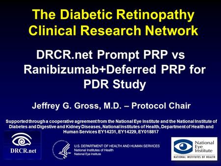 The Diabetic Retinopathy Clinical Research Network