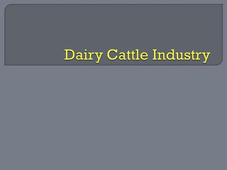 o Assets approach or exceed $250,000 on a typical farm o America- 20 billion gallons of raw milk o According to USDA, in 1970 Wisconsin’s 481 cheese plants.