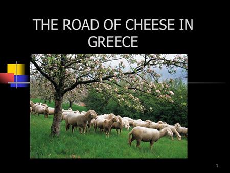 THE ROAD OF CHEESE IN GREECE