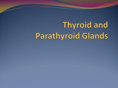 Thyroid and Parathyroid Glands