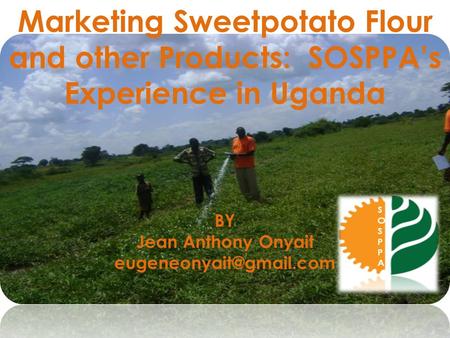 Marketing Sweetpotato Flour and other Products: SOSPPA’s Experience in Uganda BY Jean Anthony Onyait