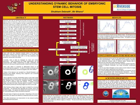 UNDERSTANDING DYNAMIC BEHAVIOR OF EMBRYONIC STEM CELL MITOSIS Shubham Debnath 1, Bir Bhanu 2 Embryonic stem cells are derived from the inner cell mass.