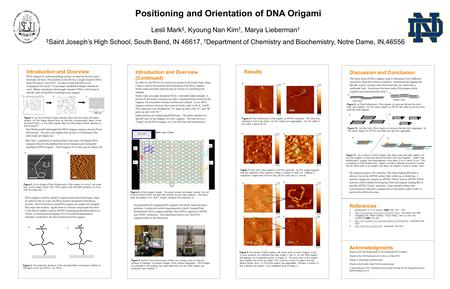 Introduction and Overview DNA origami is a self-assembling system, an ideal anchor for nano- electronic devices. The scaffold of the DNA is a single strand.