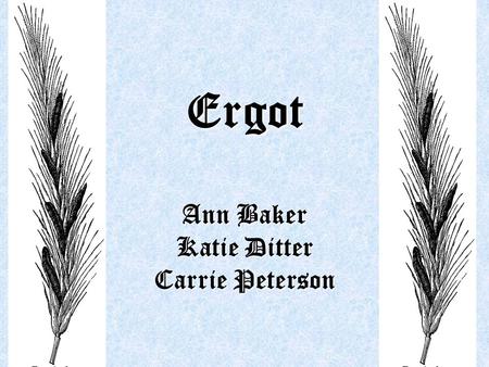 Ergot Ann Baker Katie Ditter Carrie Peterson. Botanical Characteristics Parasite Parasite Sclerotium Sclerotium Conidia Conidia Reproduction Reproduction.