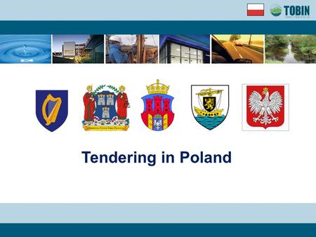 Tendering in Poland. INTRODUCTION Company Setup Tendering Project Delivery.