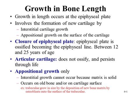 6-1 Growth in Bone Length Growth in length occurs at the epiphyseal plate Involves the formation of new cartilage by –Interstitial cartilage growth –Appositional.