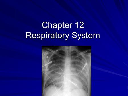 Chapter 12 Respiratory System