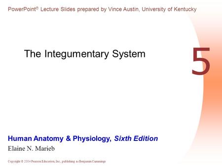 The Integumentary System