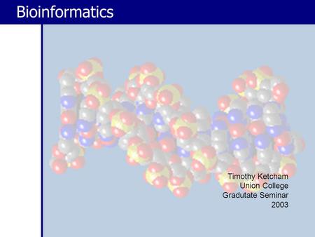 Bioinformatics Timothy Ketcham Union College Gradutate Seminar 2003 Bioinformatics.