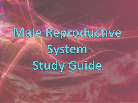 DO Now: In your notebook…. 1. List the two endocrine glands which are located in the brain 2.What controls the pituitary gland? 3. What hormones are released.