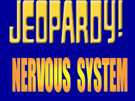 100200300400500100200300400500100 200 300 400 500 KNOW YOUR NEURON KNOW YOUR NEUROGLIALS NEURON TYPES DIVISIONS OF NERVOUS SYSTEM KNOW YOUR NEURO- TRANSMITTERS.