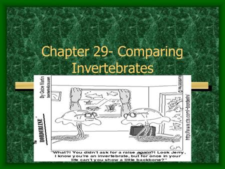 Chapter 29- Comparing Invertebrates