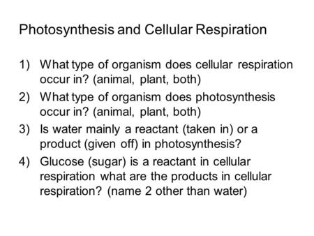 Photosynthesis and Cellular Respiration