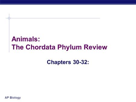 Animals: The Chordata Phylum Review