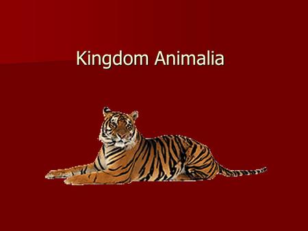 Kingdom Animalia. What characteristics define an animal? What characteristics define an animal?