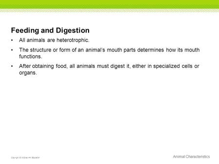 Feeding and Digestion All animals are heterotrophic.