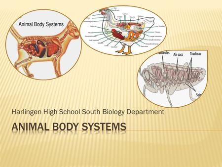 Harlingen High School South Biology Department