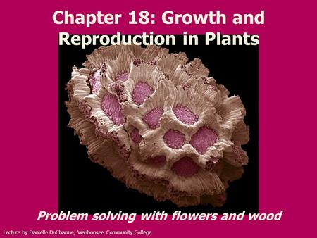 Chapter 18: Growth and Reproduction in Plants Problem solving with flowers and wood Lecture by Danielle DuCharme, Waubonsee Community College.