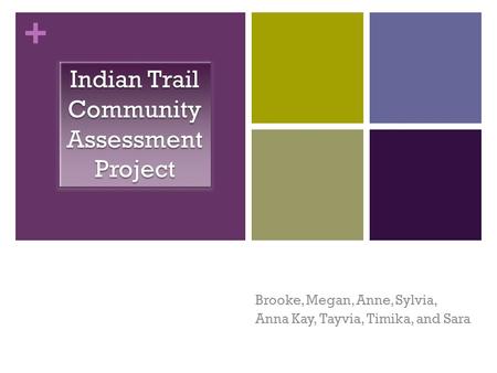 + Brooke, Megan, Anne, Sylvia, Anna Kay, Tayvia, Timika, and Sara Indian Trail Community Assessment Project.