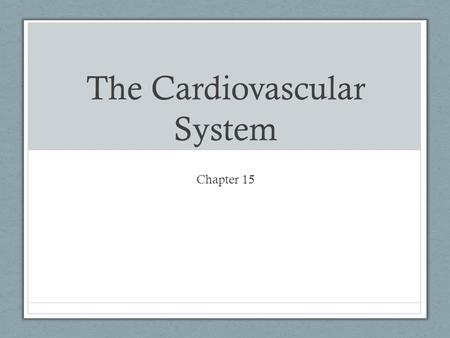 The Cardiovascular System