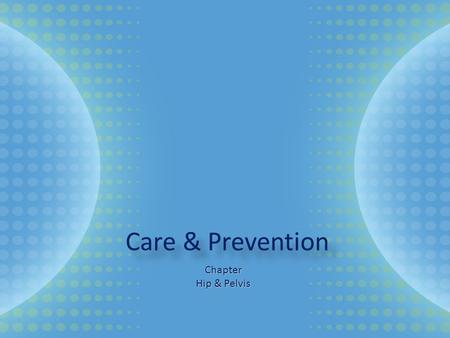 Care & Prevention Chapter Hip & Pelvis. Anatomy The arrangement of bones, ligaments, muscles, and tendons make the hip the strongest joint in the body.