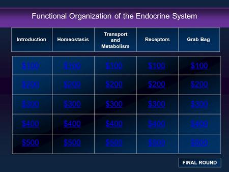 Functional Organization of the Endocrine System