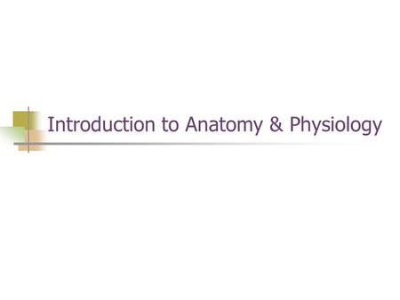 Introduction to Anatomy & Physiology