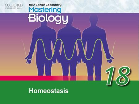 Think about… 18.1	The concept of homeostasis 18.2	Regulation of blood glucose level Recall ‘Think about…’ Summary concept map.