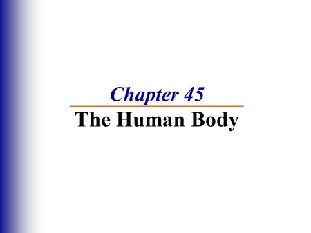 Chapter 45 The Human Body.