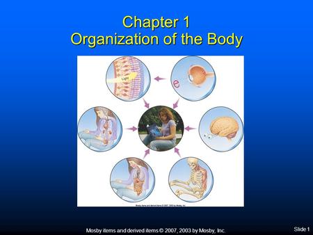 Mosby items and derived items © 2007, 2003 by Mosby, Inc. Slide 1 Chapter 1 Organization of the Body.