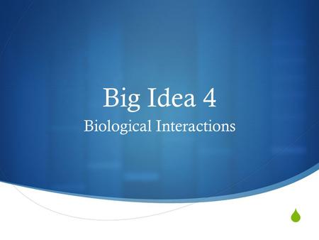 Biological Interactions