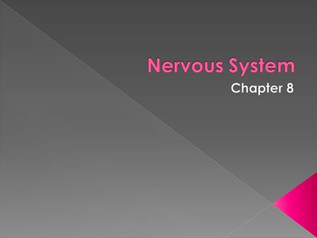  The nervous system is the body’s control and communication center.  It serves to organize incoming data into useful information that can be used for.