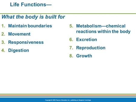 Copyright © 2009 Pearson Education, Inc., publishing as Benjamin Cummings Life Functions— What the body is built for 1.Maintain boundaries 2.Movement 3.Responsiveness.