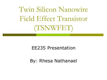 Twin Silicon Nanowire Field Effect Transistor (TSNWFET)