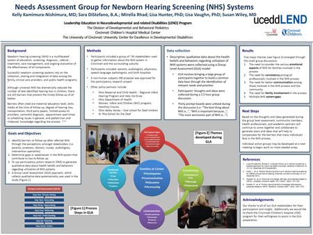 Goals and Objectives 1.Identify barriers to follow-up after referred NHS through the perceptions amongst stakeholders (i.e. parents, screeners, doctors,