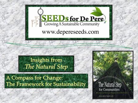 A Compass for Change: The Framework for Sustainability Insights from The Natural Step.