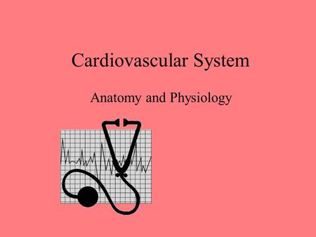 Cardiovascular System