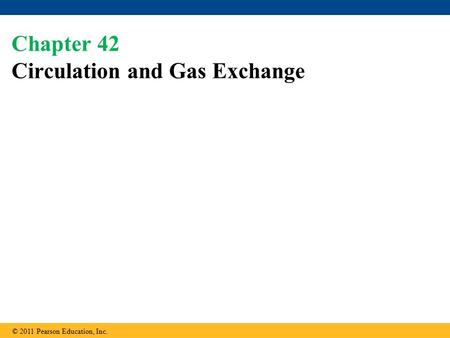 Chapter 42 Circulation and Gas Exchange