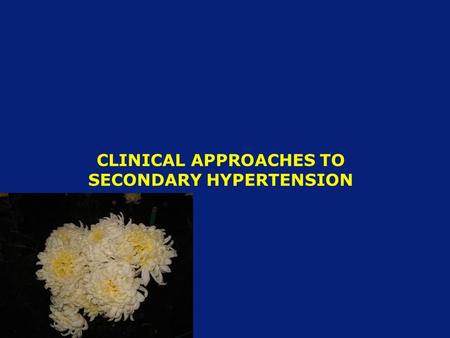 CLINICAL APPROACHES TO SECONDARY HYPERTENSION. DEFINITION Essential, primary, or idiopathic hypertension is defined as high BP in which secondary causes.