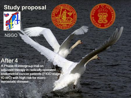 Study proposal After 4 A Phase III intergroup trial on adjuvant therapy in radically operated endometrial cancer patients (FIGO stage IC-IIIC) with high.