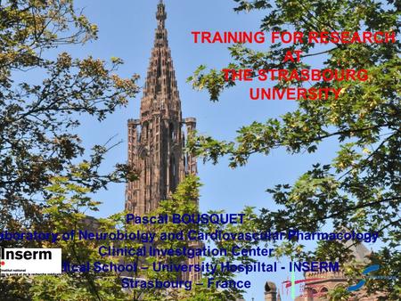 TRAINING FOR RESEARCH AT THE STRASBOURG UNIVERSITY Pascal BOUSQUET Laboratory of Neurobiolgy and Cardiovascular Pharmacology Clinical Investgation Center.